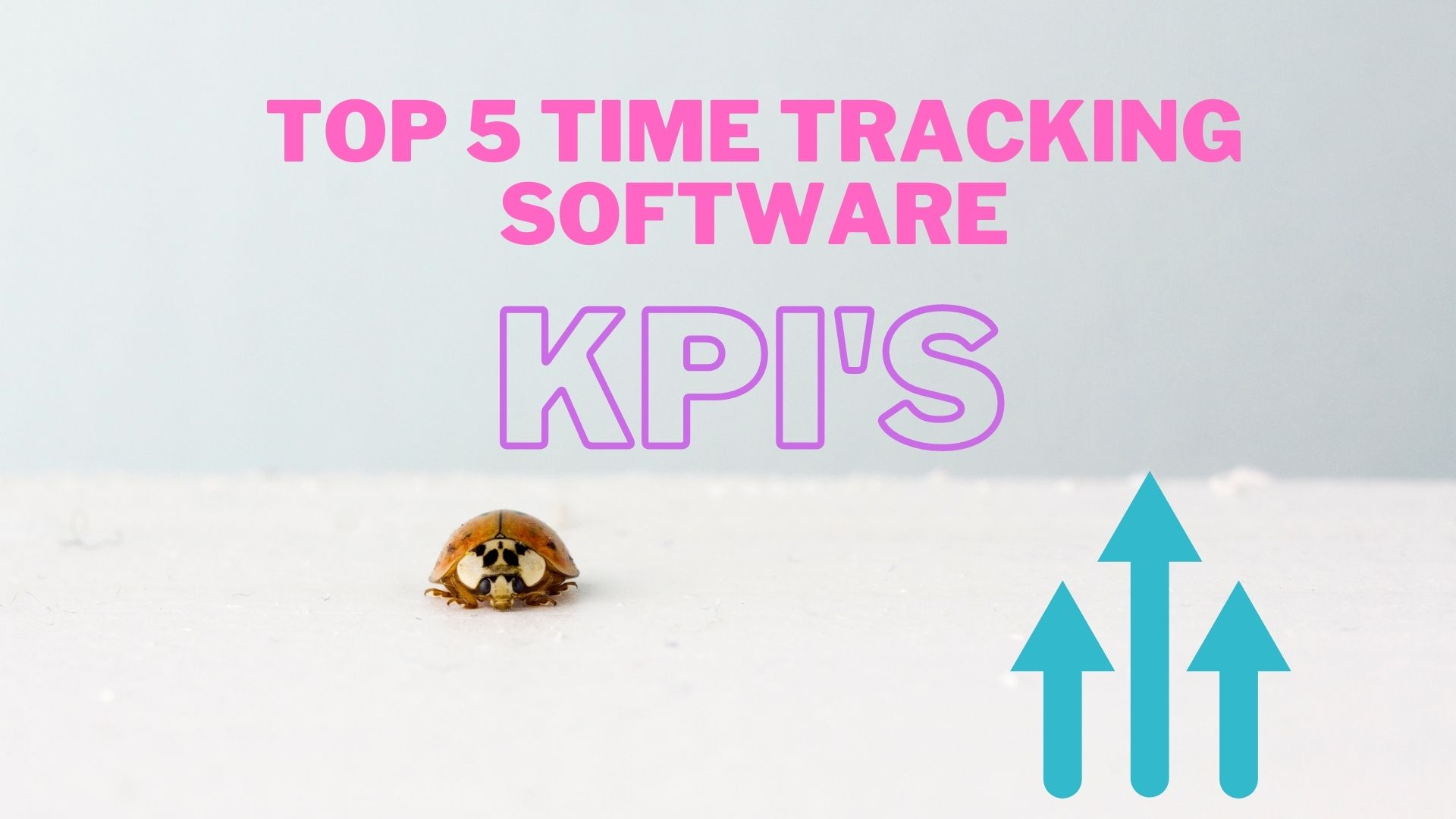 How do Top 5 tracking software KPIs help to measure employees' Performance?