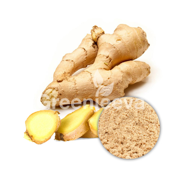 Organic Ginger Extract Powder