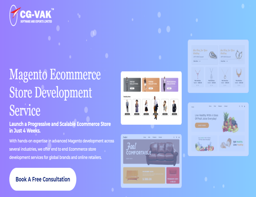 Magento Ecommerce Development Services