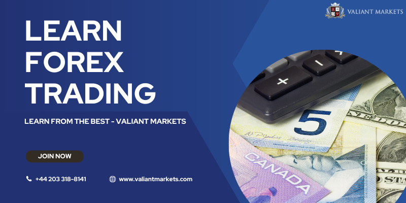 A Beginner's Guide to Forex Trading in Canada