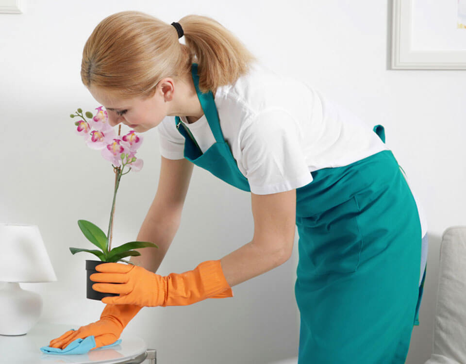 Cleaning Services Sydney