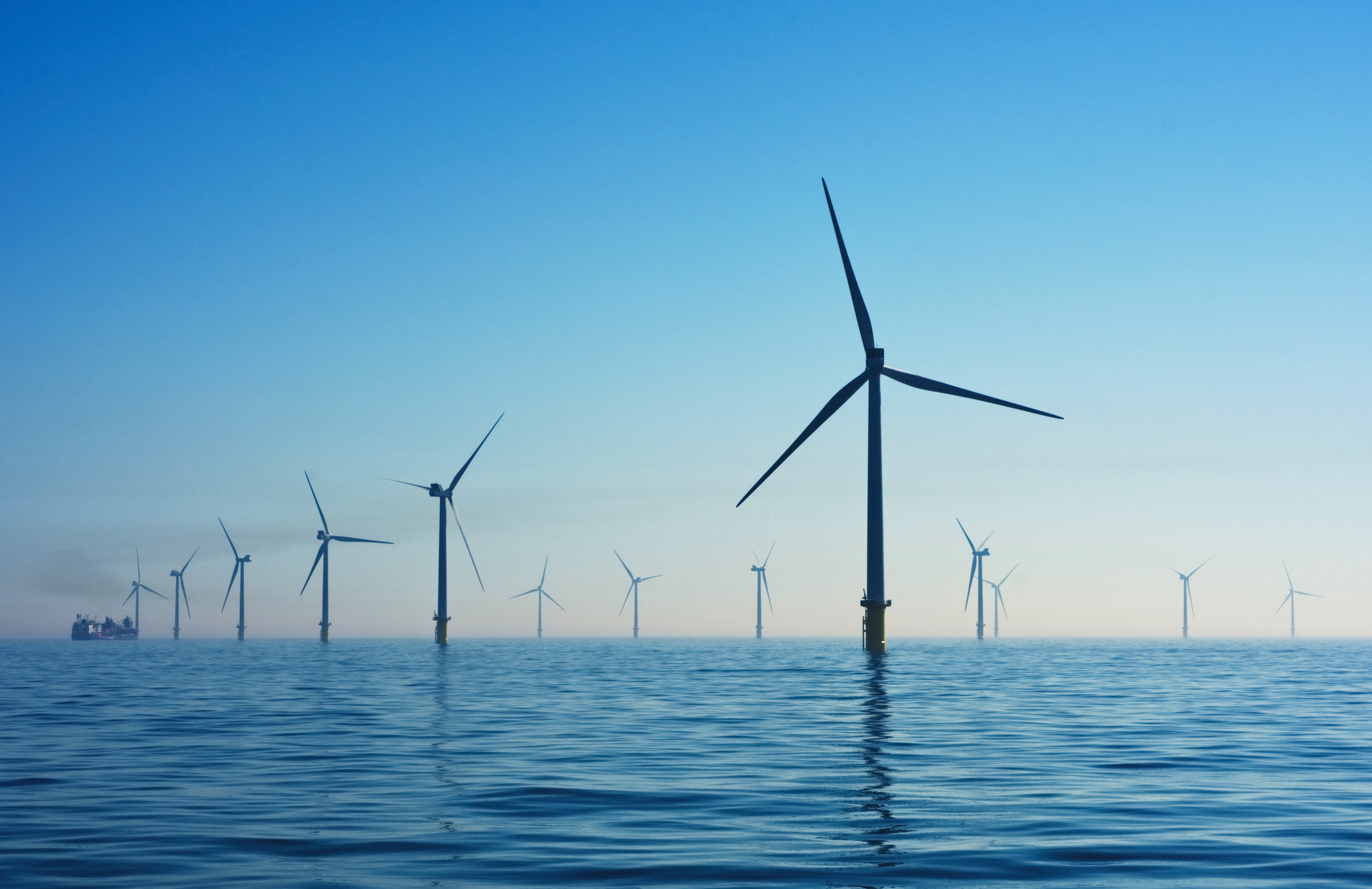 Solar, Wind, Energy, Construction, Chemical, and Infrastructure projects and tenders