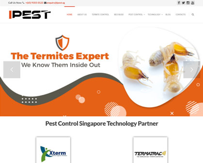 5 Reputable Termite Control Services In Singapore