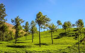 Make Our Moments-Kerala Tour Packages-  Kerala Tour & Holiday Packages