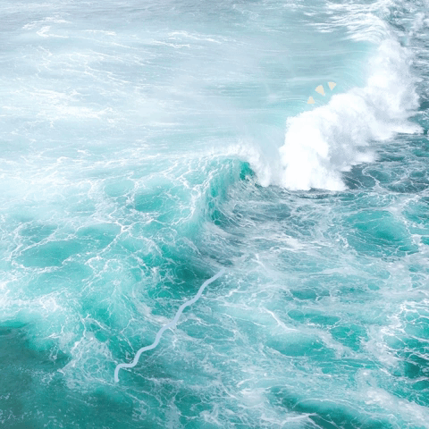 Minimalist Face Cream