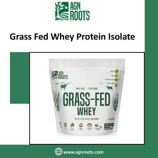 How To Make the Best Whey Protein Smoothie Recipes