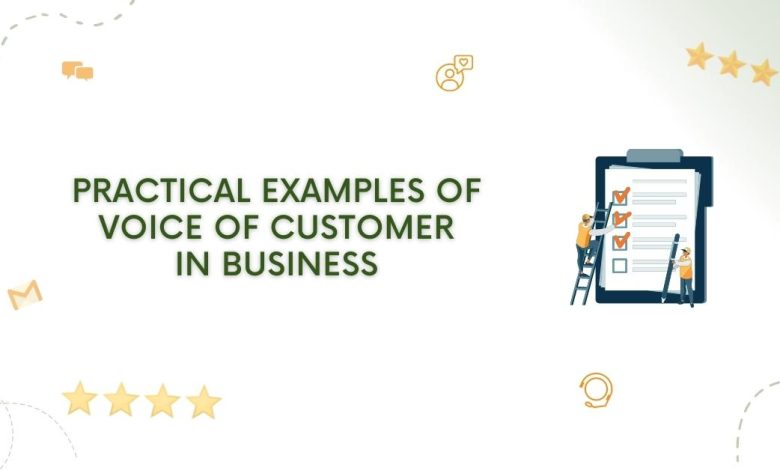 Practical Examples Of VoC In Business
