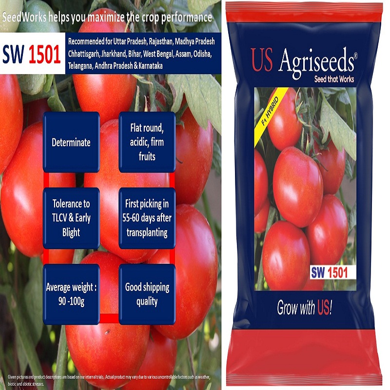Vegetable Seeds Manufacturers