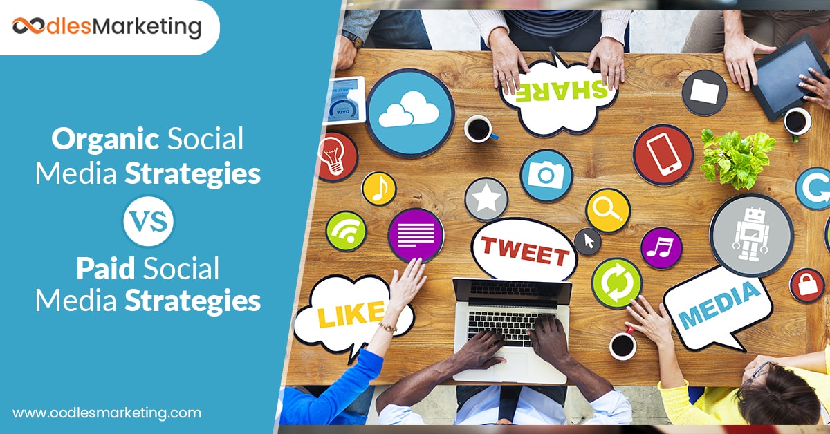Organic and Paid Social Media Marketing Strategies