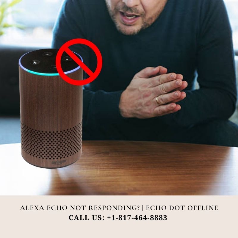 Alexa Echo Not Responding? Solution Here