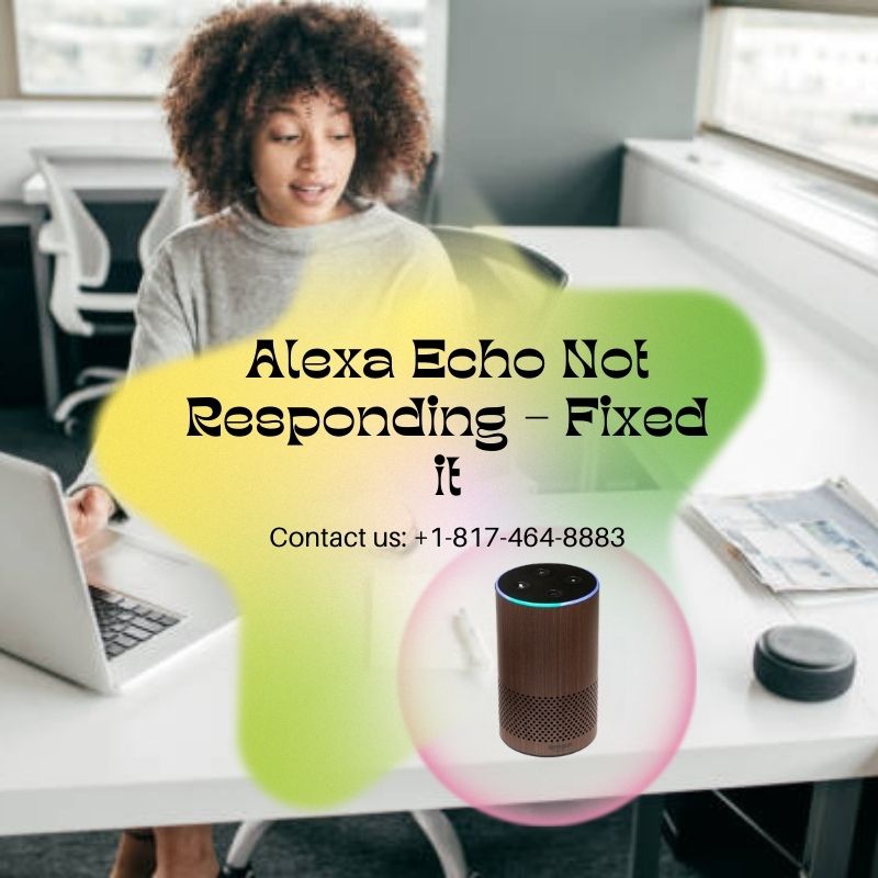 Solve the Alexa Echo Not Responding Problem