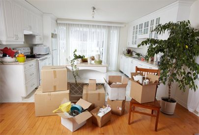 Professional Cleaning