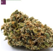 Indica strains online USA