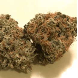 Buy Medical Marijuana Online UK