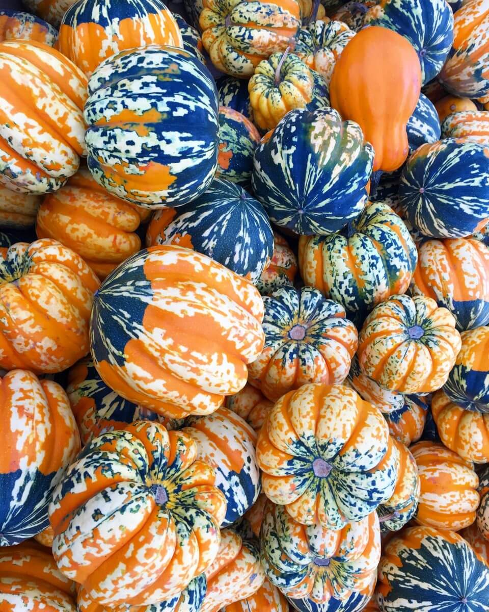 Health Tips For a Happy and Healthy Life