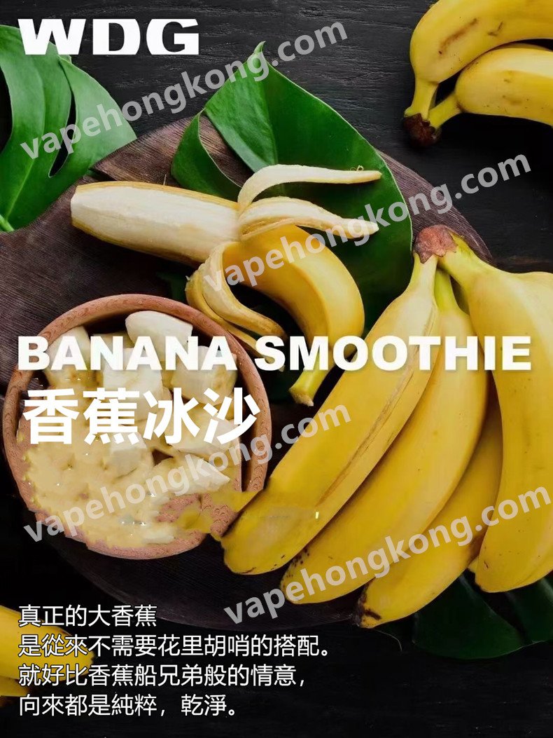 What Are Gippro Electronic Cigarettes?