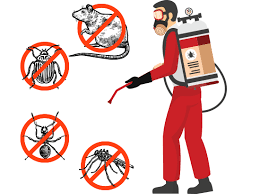 7 Concerns to Ask When Employing Pest Control Solutions  