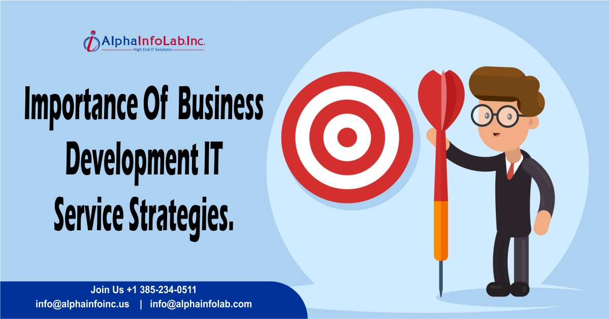 Business Development IT Services