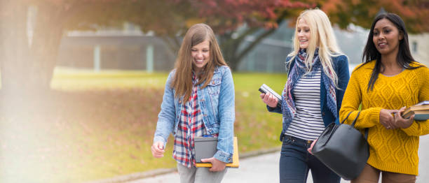 Salesforce Development Lifecycle and Deployment Architect Practice Questions