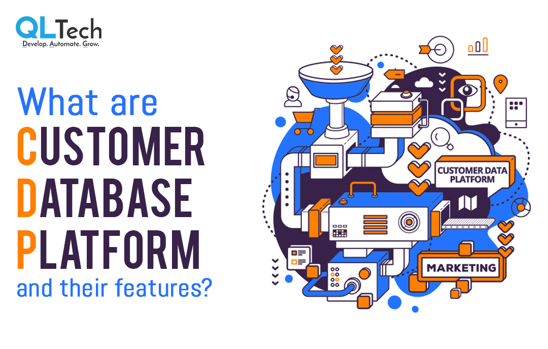 What are Customer Database Platforms(CDP) and their features?