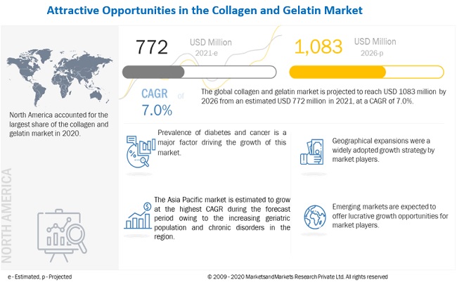 Collagen and Gelatin Market – Growth Insights and Current Scope