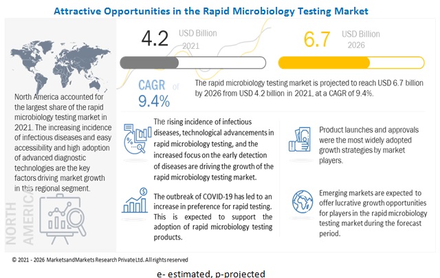 Rapid Microbiology Testing Market - Comprehensive Research Including Top Key Players