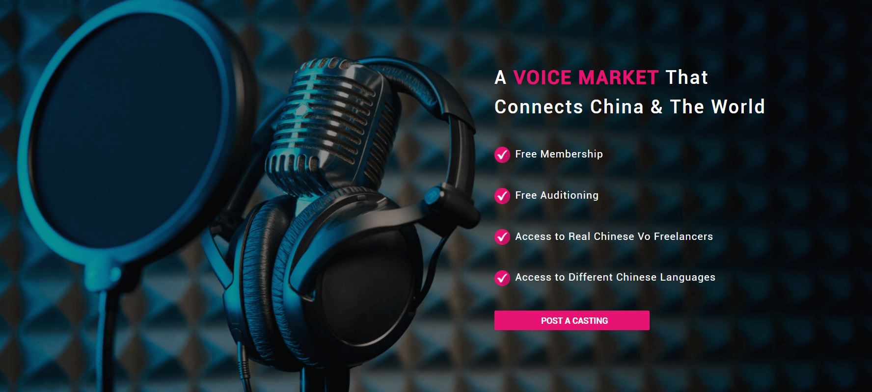 Chinese Traditional voice over
