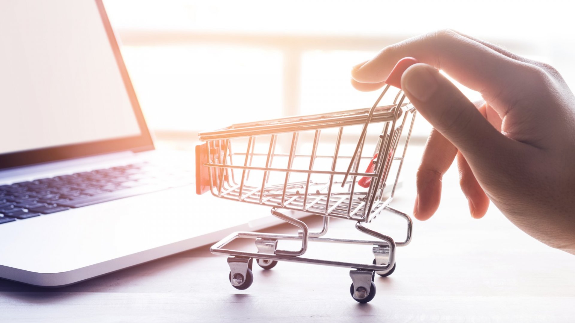 Why do People Shop Online? Find Answers Here!