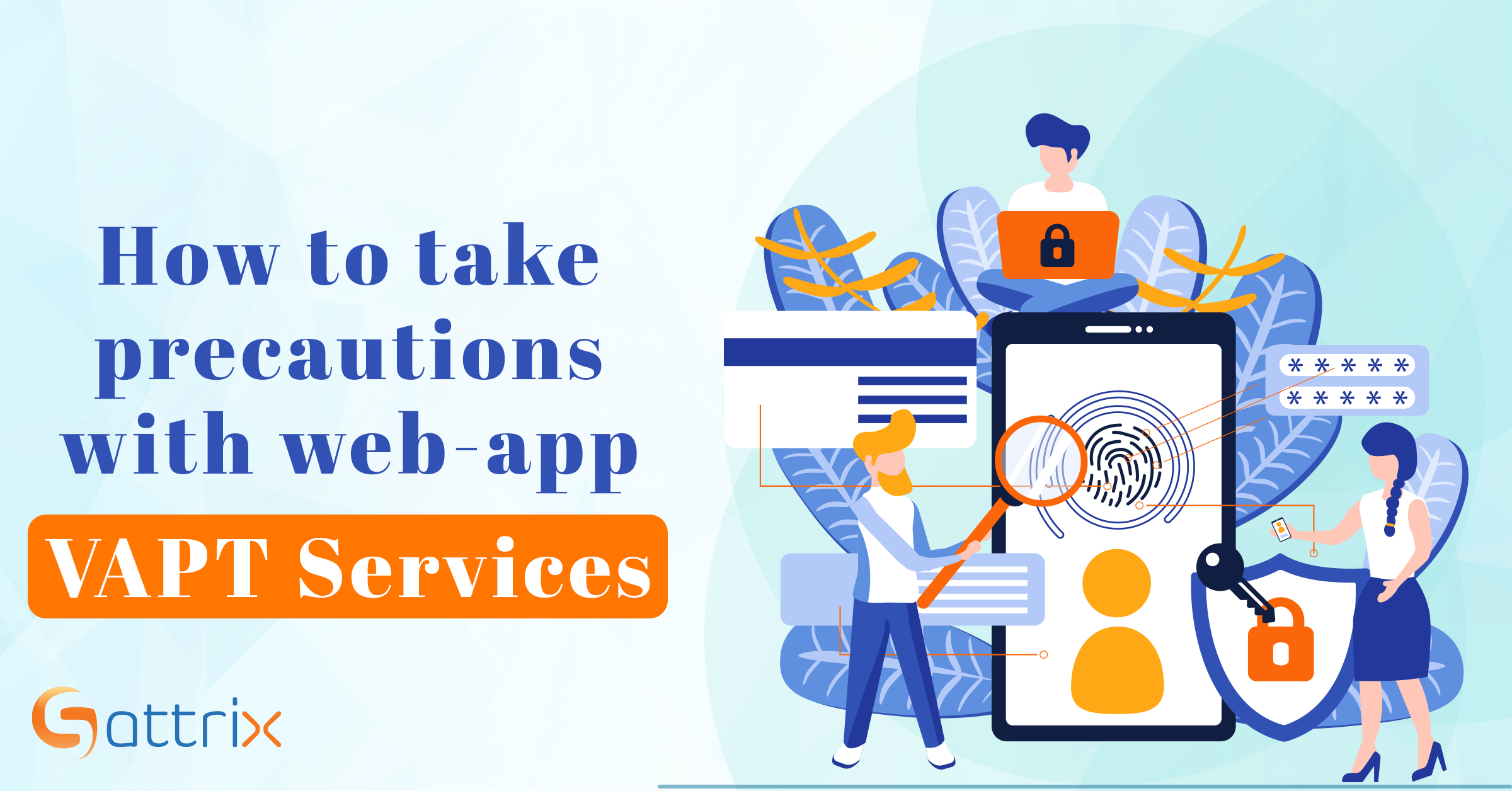 How to take Precautions with Web-App VAPT Services?