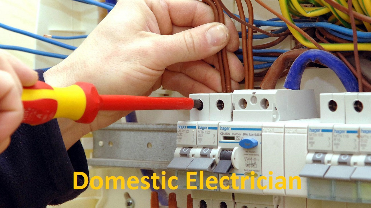 Domestic Electrician