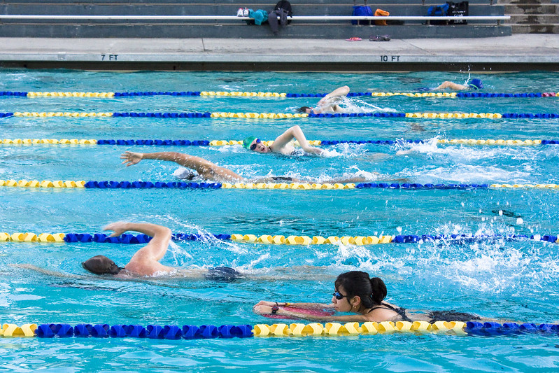 Why Web Dev and Techies Should Swim