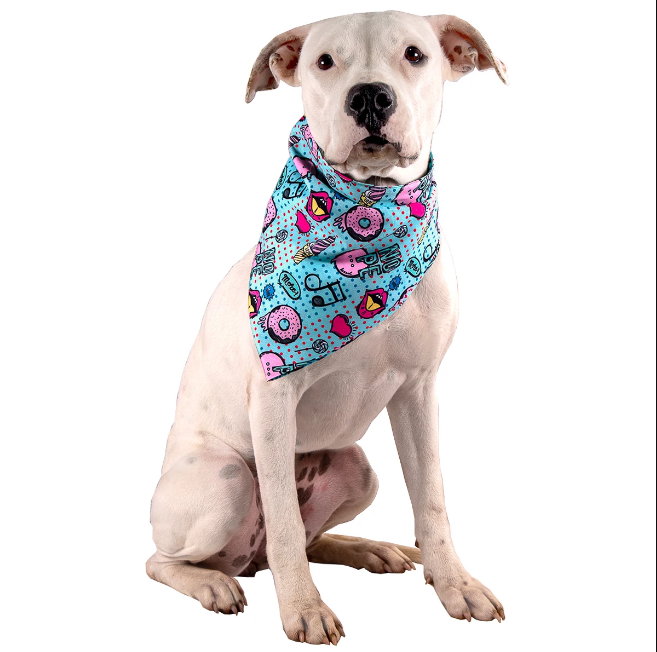 Look no Further than Toy Doggie for Custom Puppy Bandanas