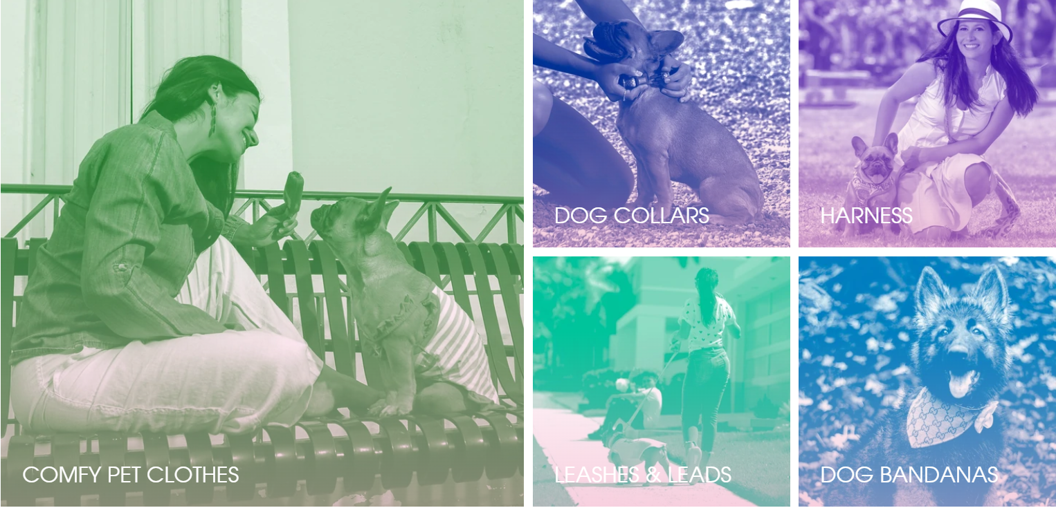 Get Purchase Trendy collection of Best Harness for Large Dogs
