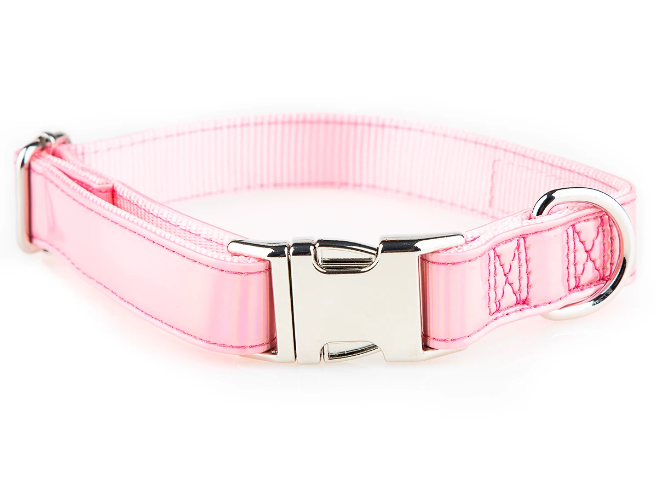 Get Browse The Wide Range Collection Of Luxury Dog Collars 