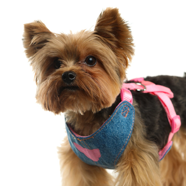 Get Choose Top Class Small Dog Harness - Toy Doggie Brand