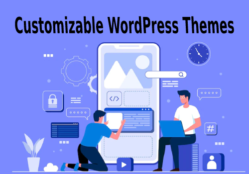 Highly Customizable WordPress Themes | Unique and Intricate themes to explore