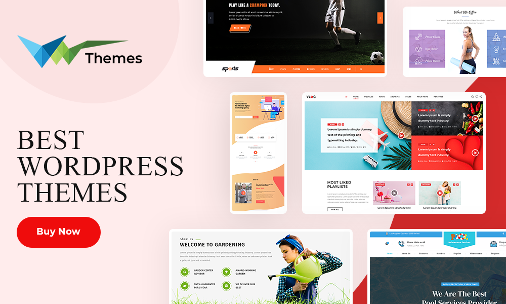 Best WordPress Template For Your Professional Website