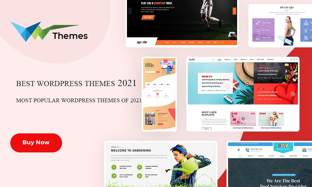 The Best WordPress Theme Is 2021 That You Have To Know About