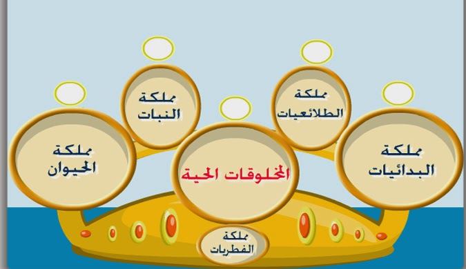 تكريم واحترام جميع الكائنات الحية: