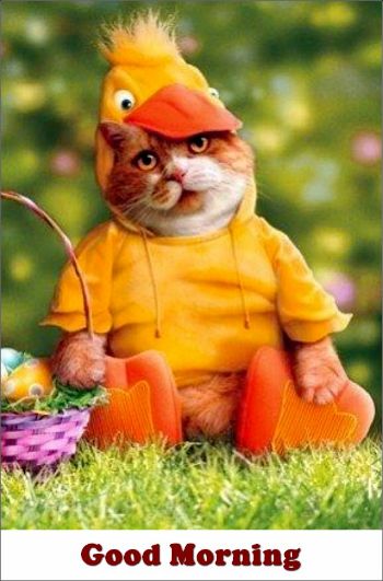 Arthritis Hates These 3 Exercise Methods