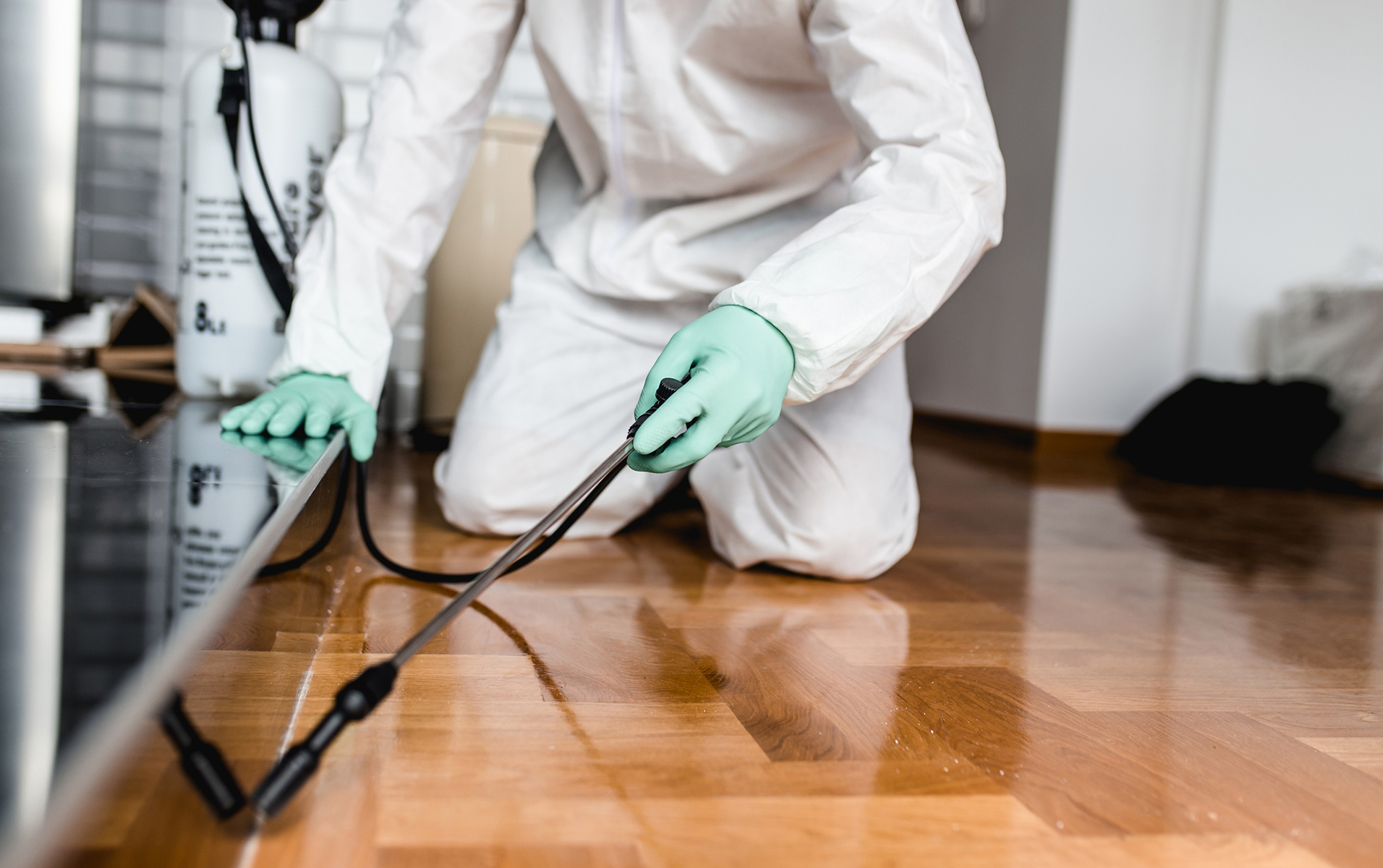 Pest Control in San Antonio