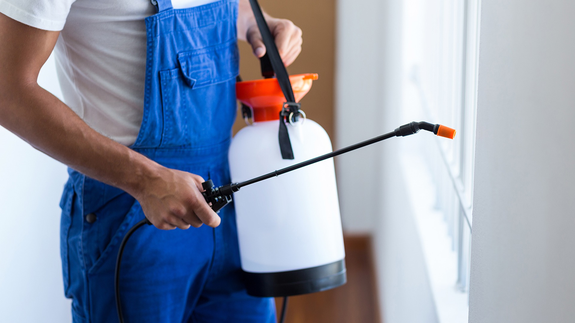 General Pest Control in San Antonio