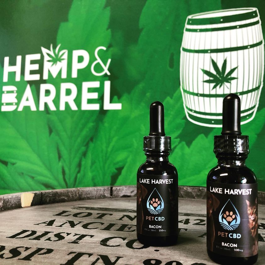 CBD Oil for Pets