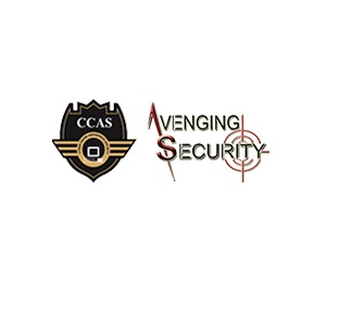 Seo Agency Near Me | Avenging Security PVT LTD.