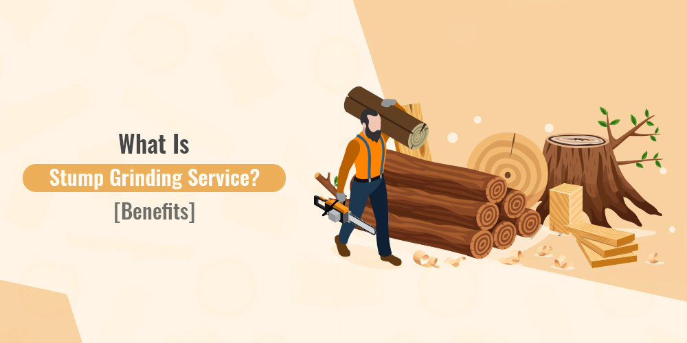 What Is Stump Grinding Service? [Benefits]