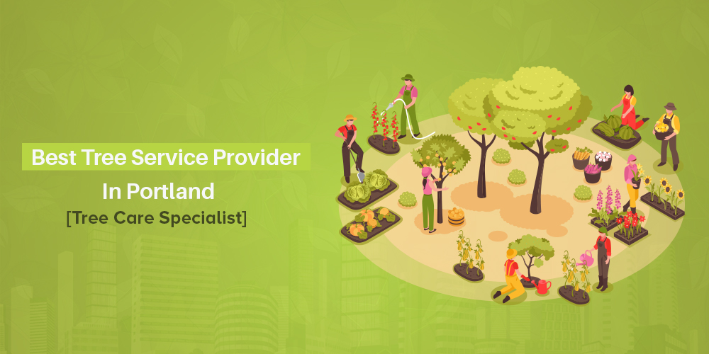 Best Portland Tree Care Service Provider [Tree Specialist]