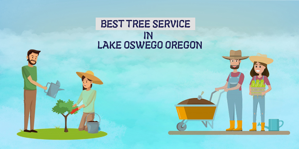 Best Tree Service In Lake Oswego Oregon