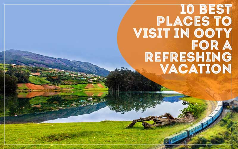 10 Best Places to Visit in Ooty for a Refreshing Vacation