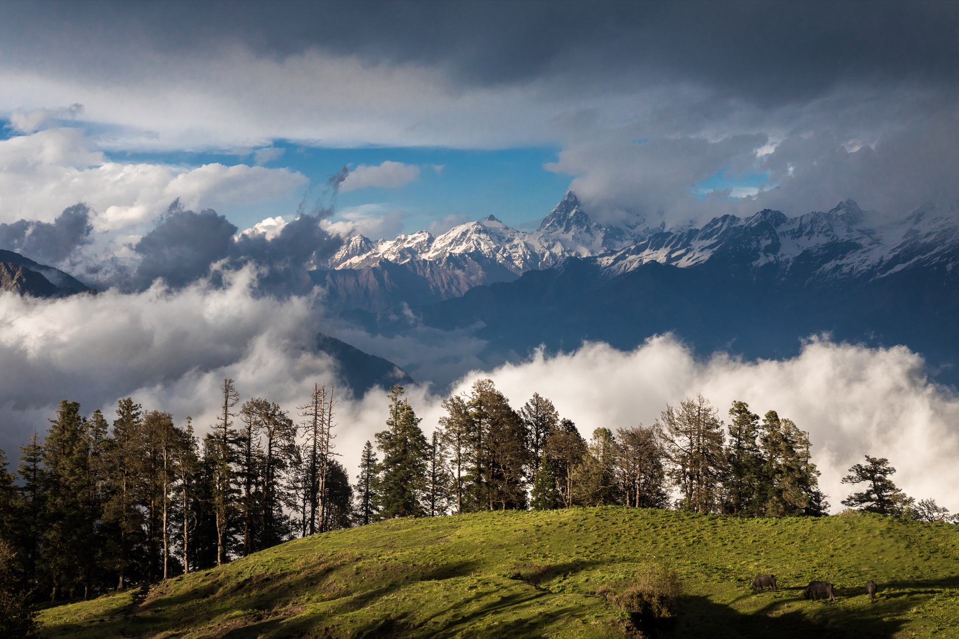 Uttarakhand Tour packages