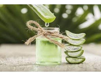 Plant Extract Market Strategy, Segmentation Analysis and Forecast to 2027